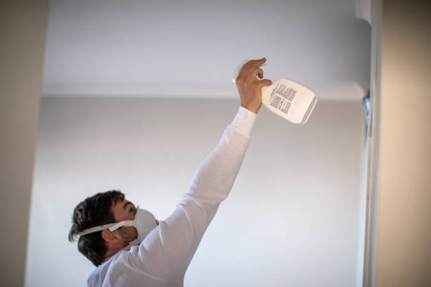 Best White Mold Remediation in Arthur, IL
