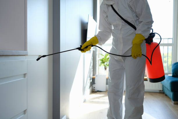 Best Health and Safety Mold Remediation in Arthur, IL